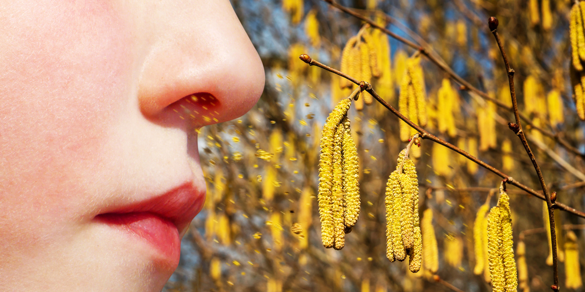 Symbolfoto für Allergien gegen Pollen, Foto: © Jürgen Fälchle / Fotolia